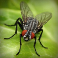 /album/%e9%9d%b4%e3%81%ab%e9%96%a2%e3%81%97%e3%81%a6%e6%80%9d%e3%81%86%e3%81%93%e3%81%a8/photolia-a01-jpg/