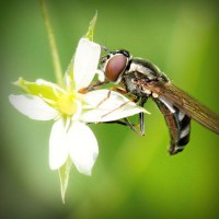 /album/%e9%9d%b4%e3%81%ab%e9%96%a2%e3%81%97%e3%81%a6%e6%80%9d%e3%81%86%e3%81%93%e3%81%a8/photolia-a02-jpg/