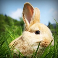 /album/%e9%9d%b4%e3%81%ab%e9%96%a2%e3%81%97%e3%81%a6%e6%80%9d%e3%81%86%e3%81%93%e3%81%a8/photolia-a03-jpg/