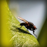 /album/%e9%9d%b4%e3%81%ab%e9%96%a2%e3%81%97%e3%81%a6%e6%80%9d%e3%81%86%e3%81%93%e3%81%a8/photolia-a04-jpg/