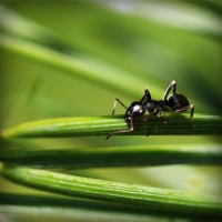 /album/%e9%9d%b4%e3%81%ab%e9%96%a2%e3%81%97%e3%81%a6%e6%80%9d%e3%81%86%e3%81%93%e3%81%a8/photolia-a05-jpg/