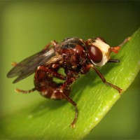 /album/%e9%9d%b4%e3%81%ab%e9%96%a2%e3%81%97%e3%81%a6%e6%80%9d%e3%81%86%e3%81%93%e3%81%a8/photolia-a06-jpg/