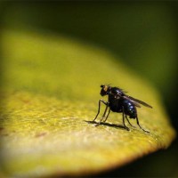 /album/%e9%9d%b4%e3%81%ab%e9%96%a2%e3%81%97%e3%81%a6%e6%80%9d%e3%81%86%e3%81%93%e3%81%a8/photolia-a07-jpg/