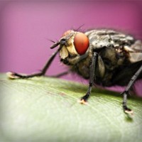 /album/%e9%9d%b4%e3%81%ab%e9%96%a2%e3%81%97%e3%81%a6%e6%80%9d%e3%81%86%e3%81%93%e3%81%a8/photolia-a08-jpg/